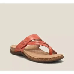 Taos Perfect - Bruschetta